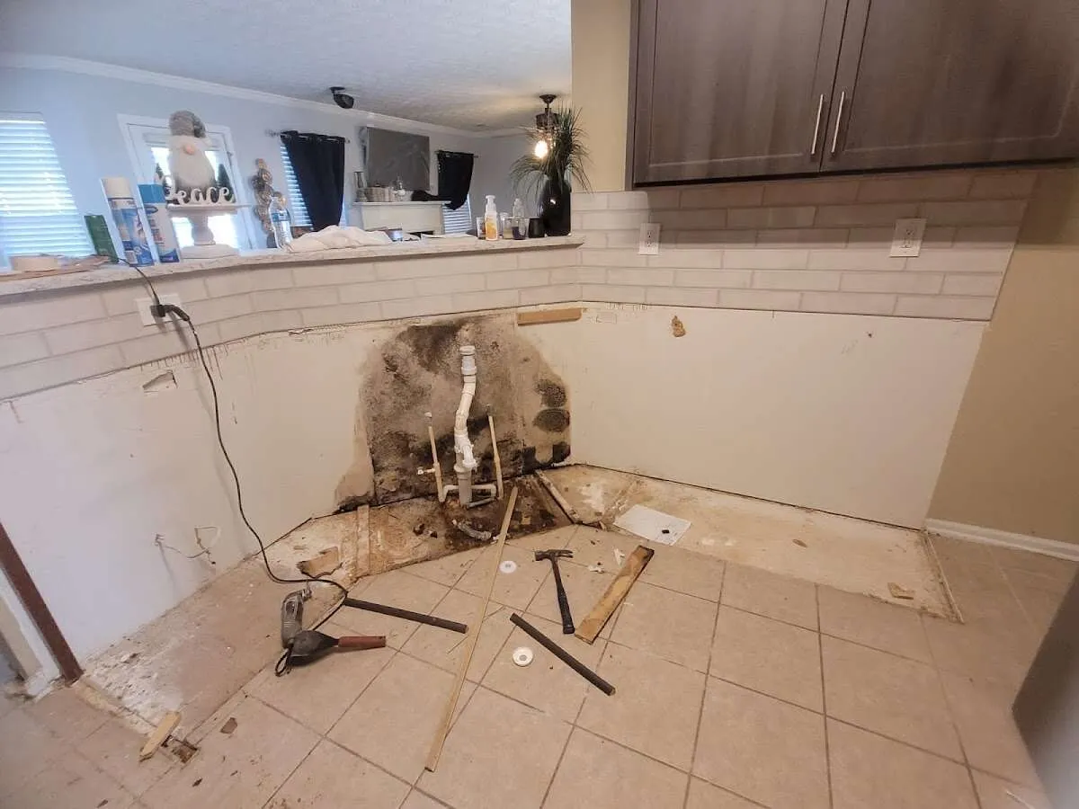 Mold behind wall with plumbing during Flood Damage Cleanup in Newport Beach